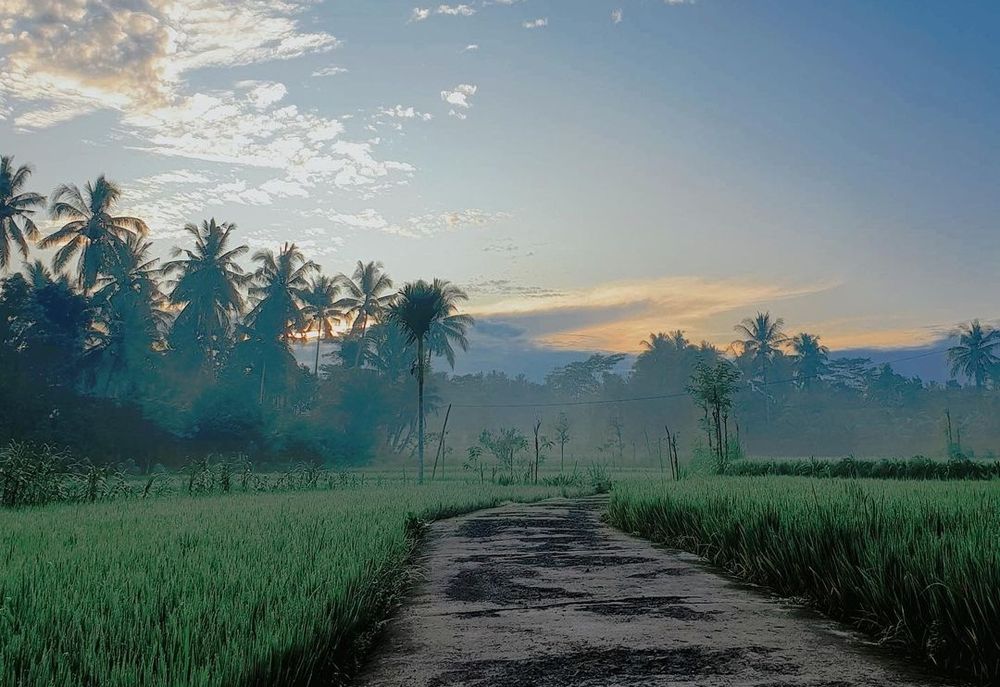 Sumber: instagram.com/desawisatabonjeruk