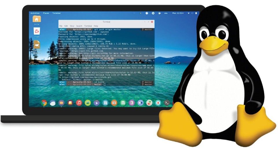 Photo from opencode.md